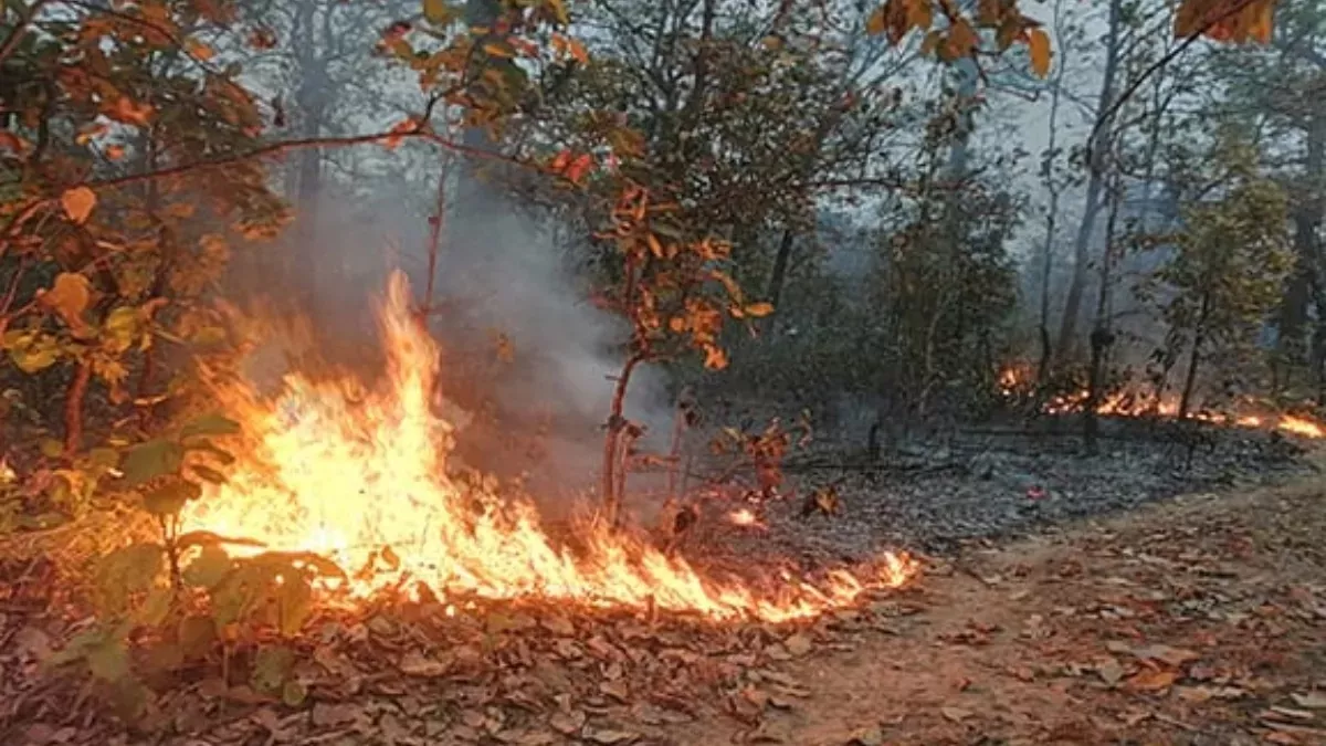 नैनीताल में सेना पहुंची,जंगलों में लगी आग से स्थिति खराब