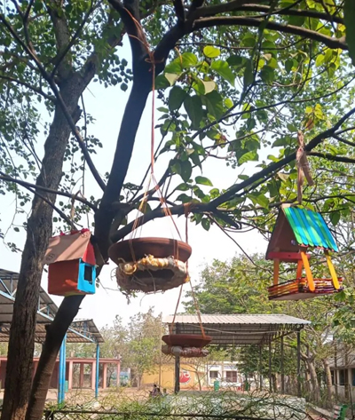 विद्यार्थियों ने पक्षियों के लिए बनाए घोंसले, संवेदनशील शिक्षा का दिया संदेश