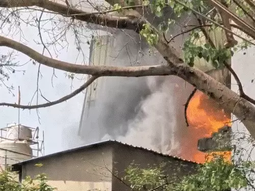 अंबिकापुर में प्लास्टिक-पटाखे की दुकान में भीषण आग 