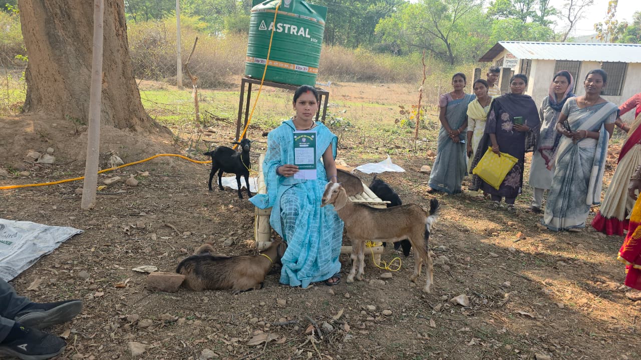 सरगुजा छेरी बैंक मॉडल से ग्रामीण महिलाओं को मिल रही आर्थिक आज़ादी की नई राह