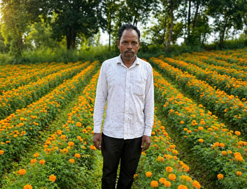 फूलों की खुशबू से महकी किस्मत ईश्वरचरण पैकरा का, कम लागत में मिला ज्यादा मुनाफा