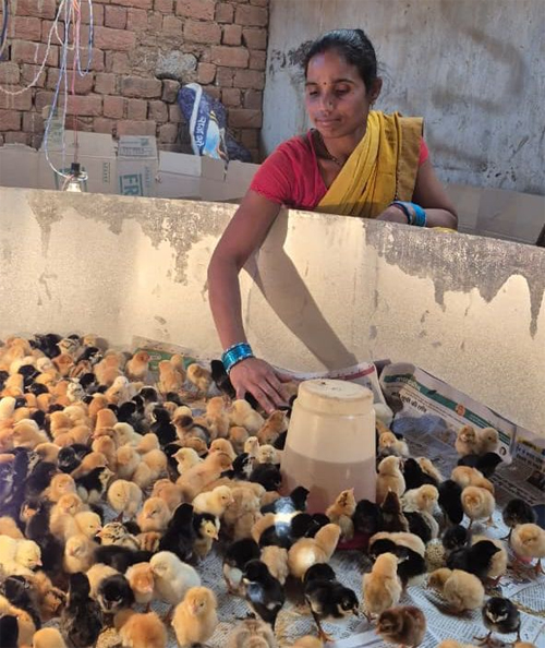 बिहान से बदली जिंदगी: गुंजवती पेगड़ बनीं लखपति दीदी 