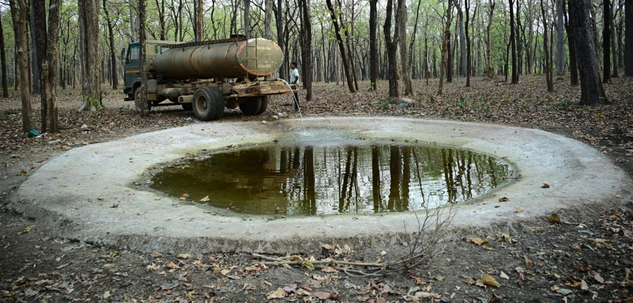 भीषण गर्मी में वन्यजीवों के लिए संजीवनी बना बारनवापारा, जल प्रबंधन का ऐसा मॉडल जो पूरे देश के लिए बना मिसाल