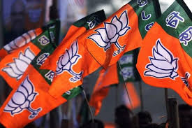 प्रधानमंत्री मोदी के विकासवाद और सुशासन की जीत - भाजपा