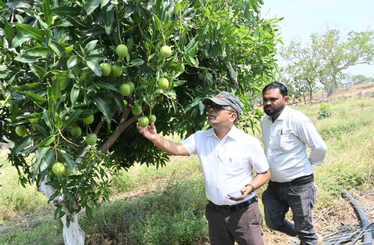 फसल विविधिकरण से बदली किसान कुंवर सिंह की तस्वीर
