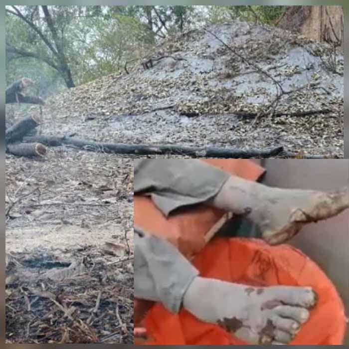 बंद परिसर में पड़े केमिकल वेस्ट से धधकते आग के चपेट में आ रहे बच्चे, मवेशी व अन्य
