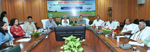 फसलों को खरपतवार से होने वाले नुकसान को नियंत्रित करने के लिए कृषि वैज्ञानिकों ने बनाई रणनीति