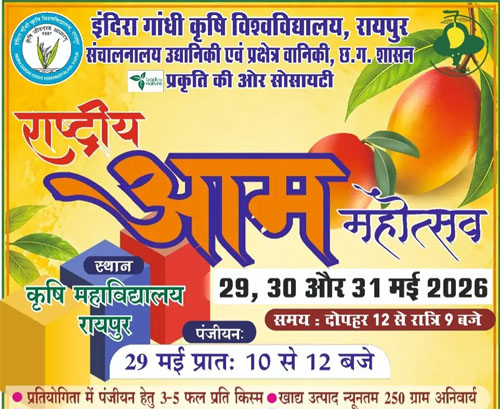 कृषि विवि में तीन दिवसीय राष्ट्रीय आम महोत्सव कल से, 250 से अधिक किस्मों का किया जाएगा प्रदर्शन 