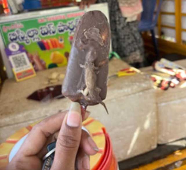 विवाह समारोह पर आइसक्रीम में छिपकली मिलने का वीडियो हुआ वायरल