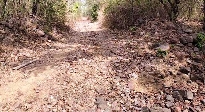 बीजापुर के सीमावर्ती गांव कोत्तापल्ली को मुख्य मार्ग से जोडऩे की मांग