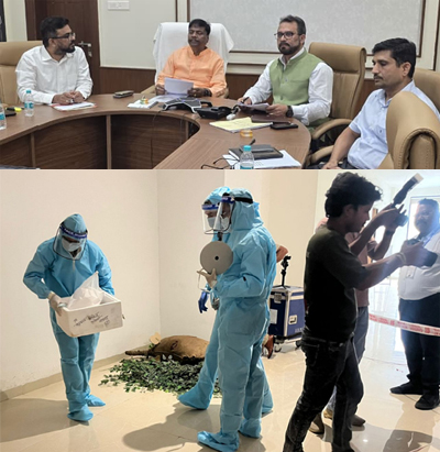 हाथियों के संरक्षण की दिशा में छत्तीसगढ़ की बड़ी पहल, वन मंत्री के मार्गदर्शन में वन्यजीव फोरेंसिक प्रशिक्षण सम्पन्न