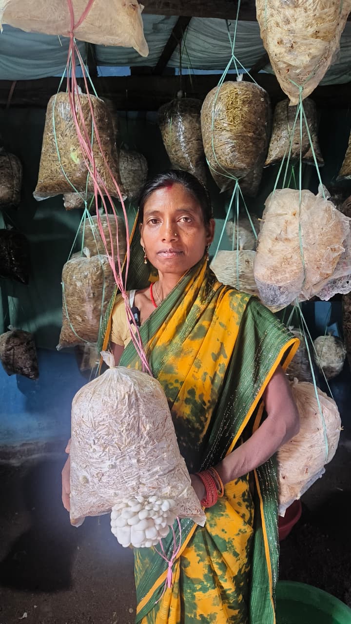 फोटो कॉपी और मशरूम व महुआ व्यवसाय से बबली यादव की बढ़ी आय