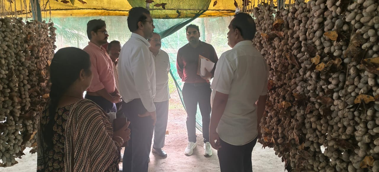 बस्तर संभाग में रेशम विकास कार्यों की समीक्षा, ग्रामोद्योग सचिव ने किसानों की आय बढ़ाने और धागाकरण मशीनों को शीघ्र शुरू करने के दिए निर्देश