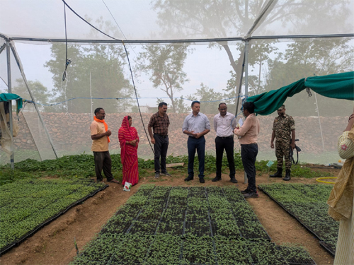 आईएफसी परियोजना ने बदली जिंदगी :नर्सरी उद्यमी बनकर बनी आत्मनिर्भरता की नई पहचान