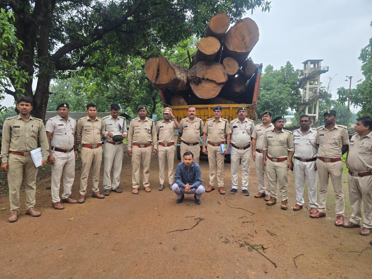 कोरबा वन मंडल की बड़ी कार्रवाई: 20 घनमीटर अवैध साल लकड़ी बरामद, मुख्य आरोपी गिरफ्तार