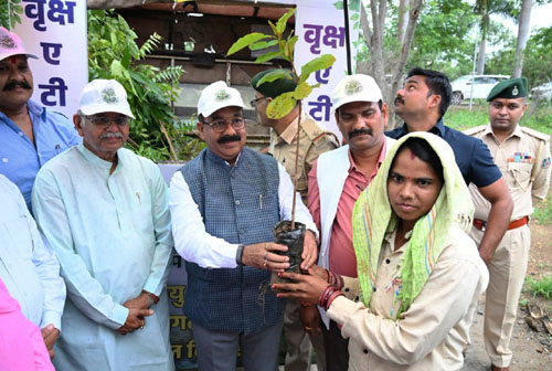 धरती का श्रृंगार हैं वृक्ष, प्रत्येक व्यक्ति पौधरोपण का संकल्प ले : साव