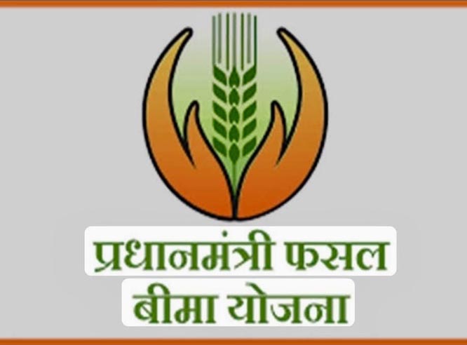 फसल बीमा की तिथि में हुई वृद्धि, अब 14 अगस्त तक करा सकेंगे बीमा
