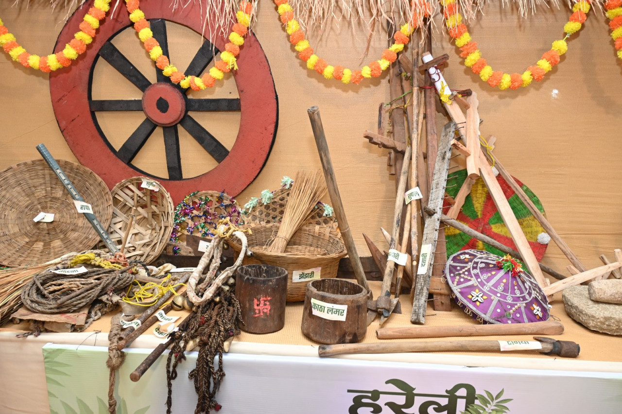 विशेष लेख : छत्तीसगढ़ का लोक-पर्व : हरेली तिहार
