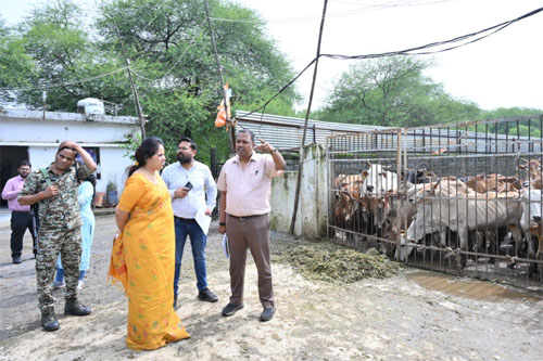 फुंडहर गौठान में क्षमता से दोगुने से अधिक गौवंश मिलने पर महापौर मीनल ने जताई नाराजगी