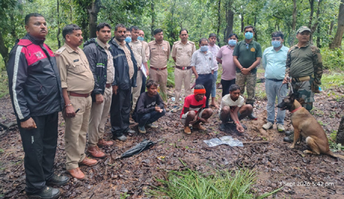 मृत भालू के नाखून काटकर ले जाने वाले दो आरोपी गिरफ्तार, चार नाखून बरामद