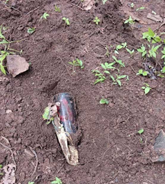 ग्रामीणों की सूचना पर सुरक्षाबलों ने बरामद किया प्रेशर बियर बॉटल आईईडी