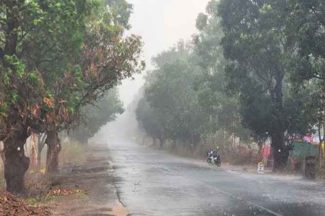 बस्तर में पिछले चौबीस घंटे में जगदलपुर में सर्वाधिक 316 मिमी वर्षा हुई 