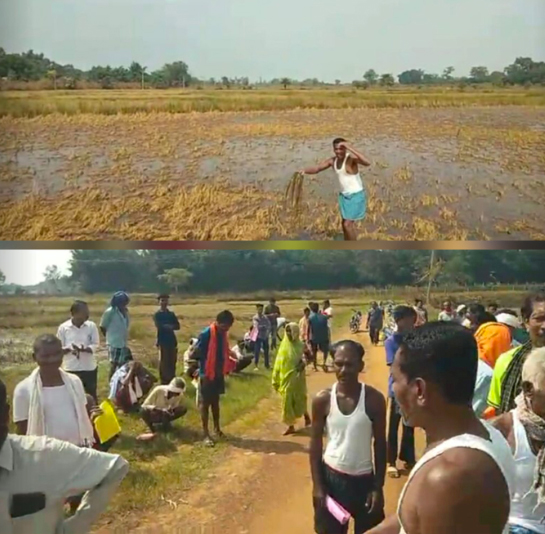 धोबीगुड़ा के बाढ़ पीडि़त किसानों का आक्रोश, सर्वे टीम को वापस लौटाया