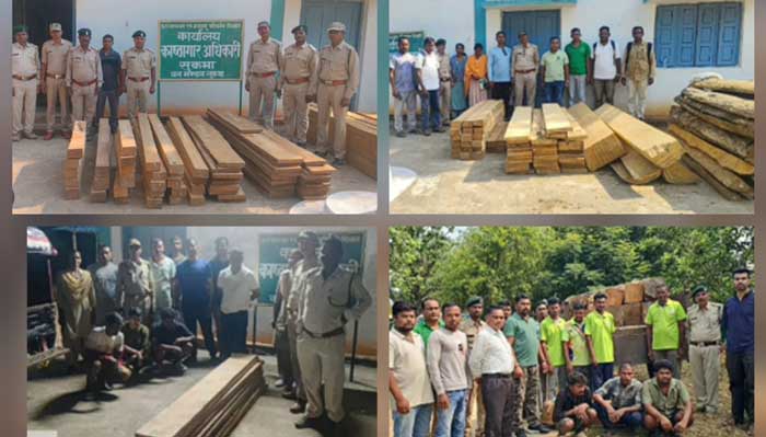सुकमा वनमंडल में 6 वन अपराध मामलों में 8 लाख के सागौन जब्त 