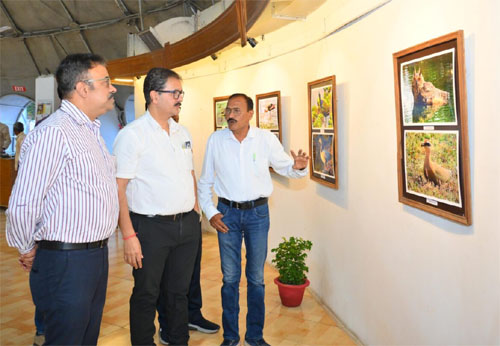 नेहरू आर्ट गैलरी में छायाकार कमलेश की एकल वन्यजीव छायाचित्र प्रदर्शनी उदघाटित